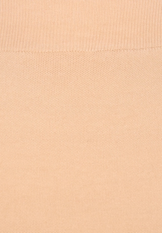 faina Skirt in Beige