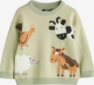 Next Свитер в Зеленый: спереди