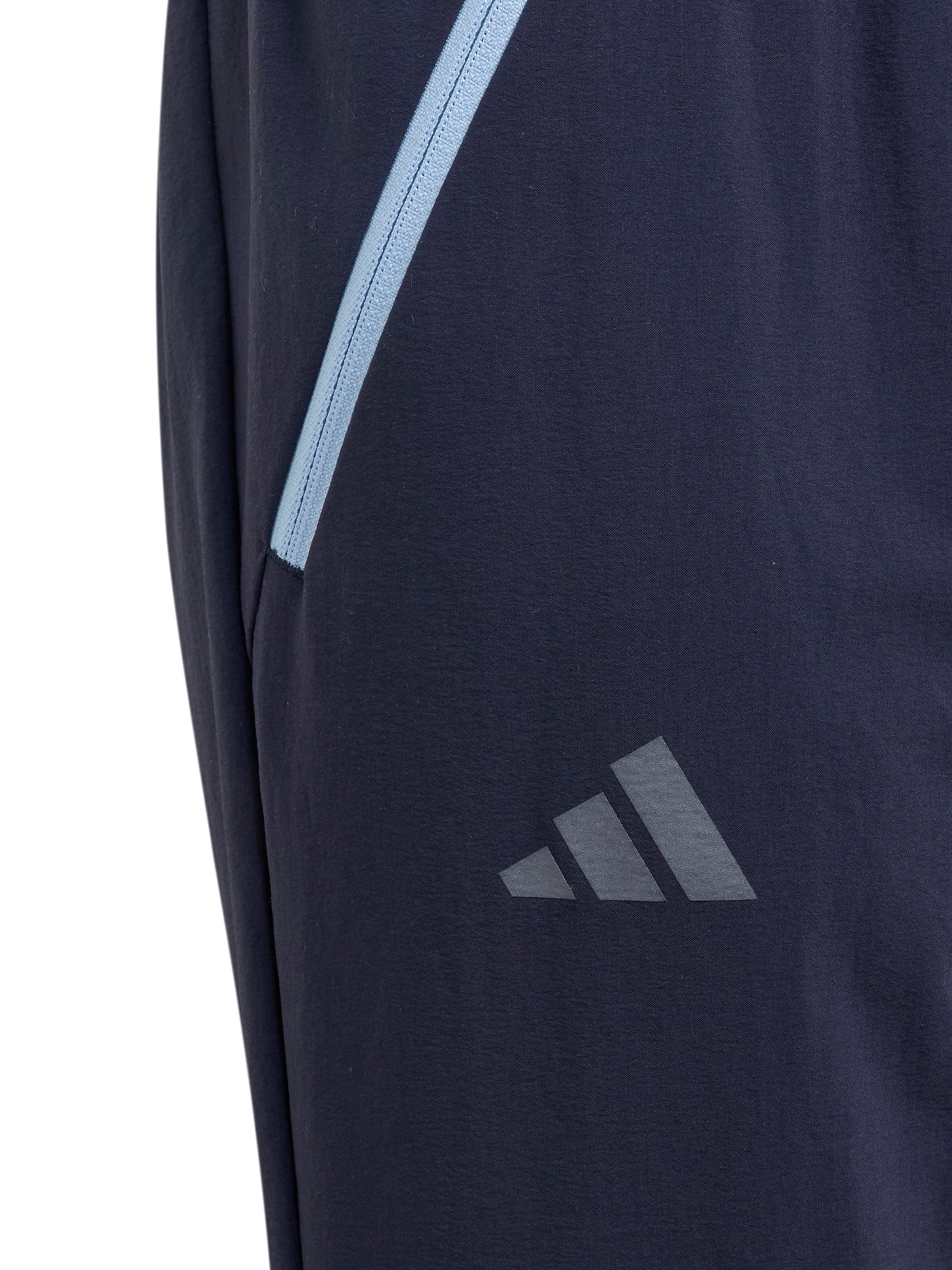 ADIDAS TERREX Normalny krój Spodnie sportowe w kolorze niebieski