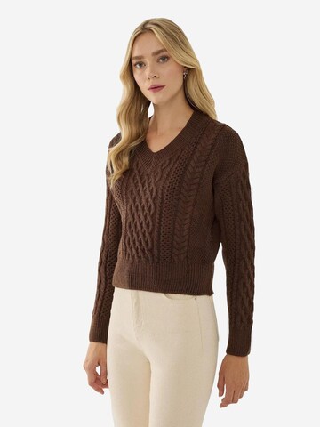 Hiccup Sweater in Brown