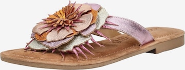 Zoccoletto di LAZAMANI in marrone: frontale