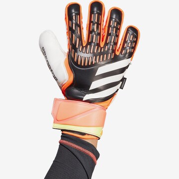 ADIDAS PERFORMANCE Athletic Gloves in White