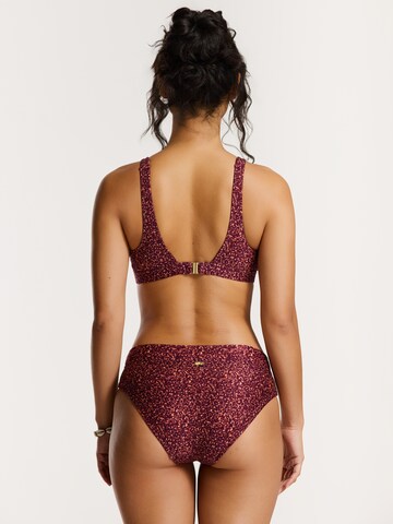 Shiwi Triangen Bikini 'Teddy' i lila
