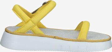 FLY LONDON Strap Sandals in Yellow