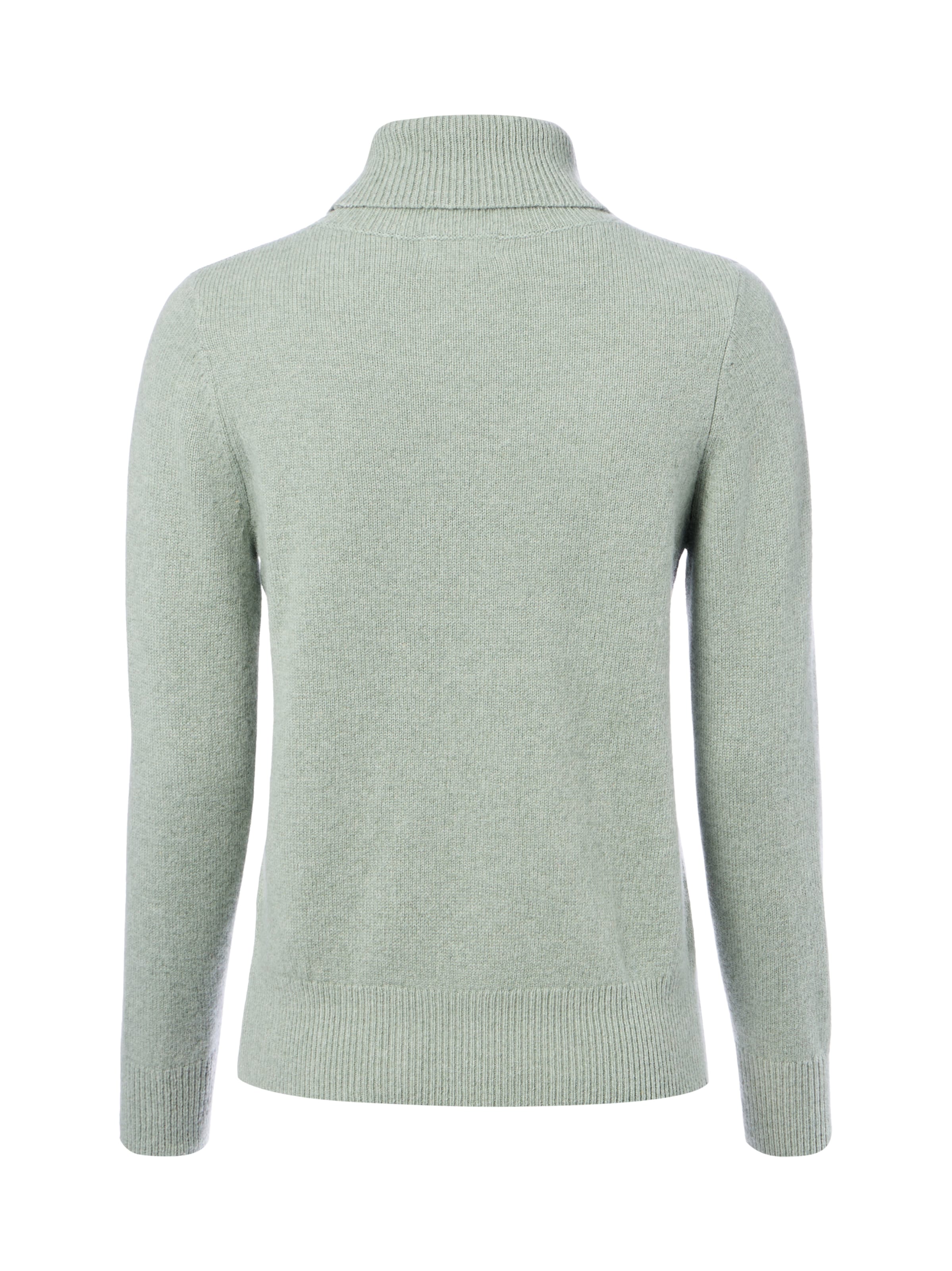 Brookshire Trui in Groen