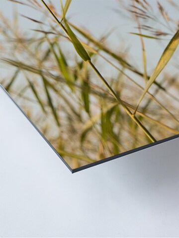 Liv Corday Bild 'Beach Grass' in Grau