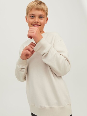 Jack & Jones Junior Sweatshirt 'JORVesterbro' in Beige
