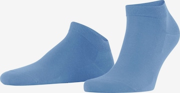 FALKE Socken 'ClimaWool' in Blau: Vorderseite