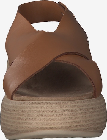 INUOVO Sandals in Brown