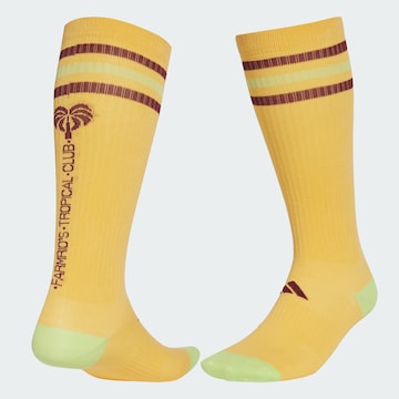 ADIDAS PERFORMANCE Sports socks 'Adidas x FARM' in Yellow