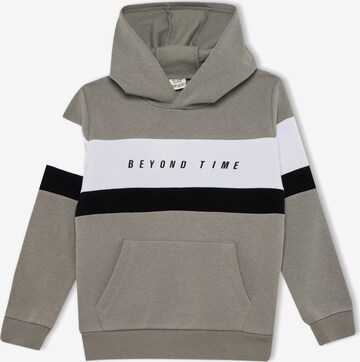 DeFacto Sweatshirt in Grey: front