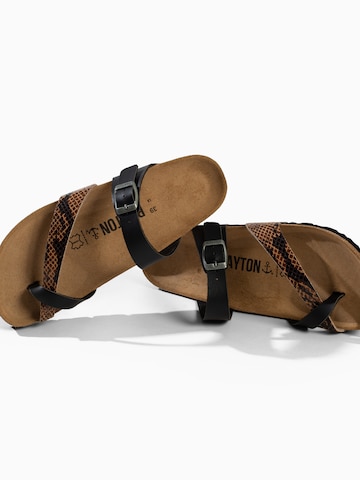 Zoccoletto 'Diane' di Bayton in marrone