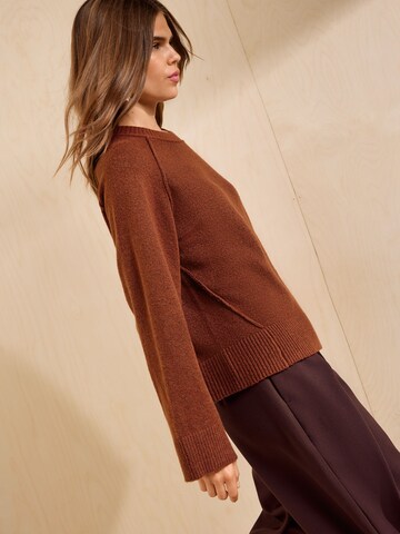 Pull-over Friends Like These en marron
