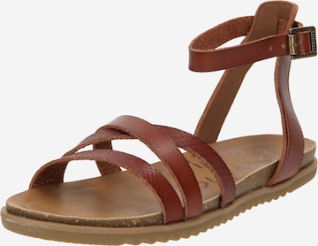 Blowfish Malibu Sandalen met riem 'MAYLIE' in Bruin: voorkant