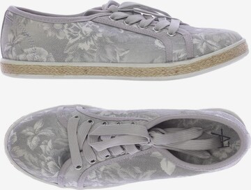 Anna Field Sneakers & Trainers in 38 in Grey: front