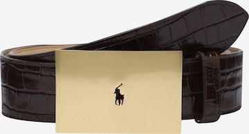 Cintura di Polo Ralph Lauren in marrone: frontale