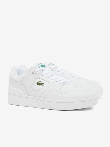 Sneaker bassa 'Courtcage Set' di LACOSTE in bianco