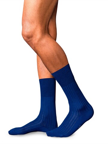 FALKE Socks 'No. 13 Finest Piuma Cotton' in Blue