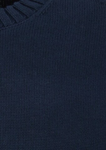 s.Oliver Men Big Sizes Pullover in Blau: Vorderseite