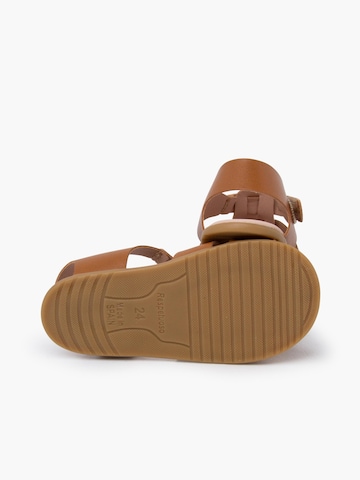 Calzatura aperta di Pisamonas in marrone