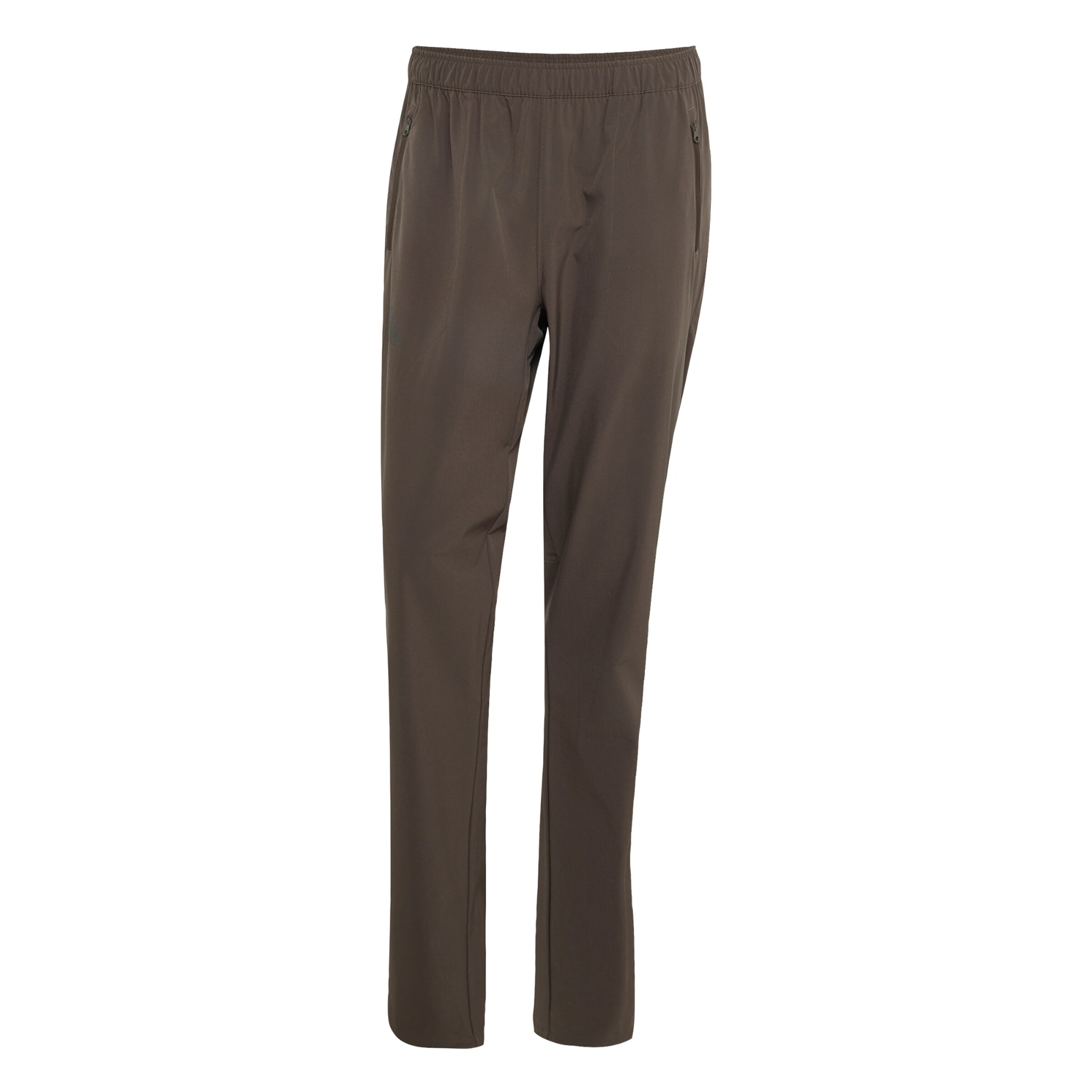 Regular Pantalon outdoor ADIDAS TERREX en vert