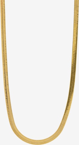 Chaîne 'IVY' timi of sweden en or : devant