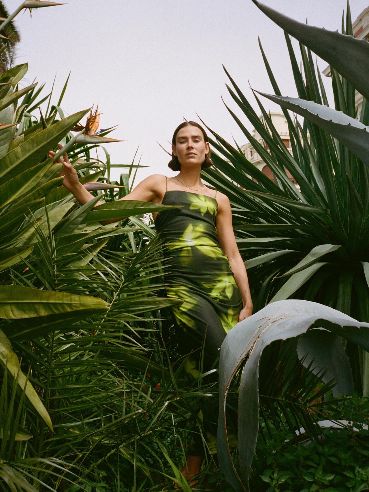 EDITED Produkte Kleid 'Callie' grün