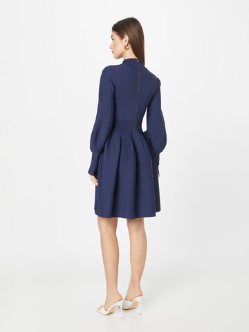 Ted Baker Dress 'NAYDINE' in Blue