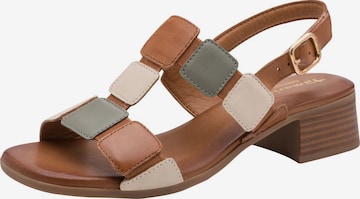 Sandales Tamaris en marron : devant