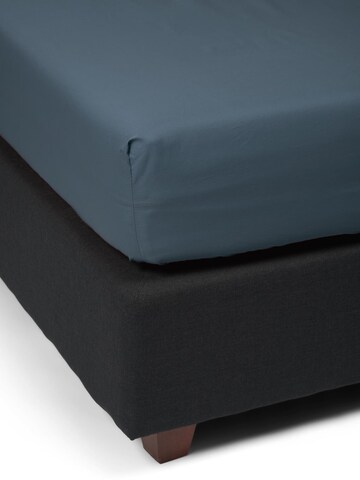 ESSENZA Bed Sheet in Blue