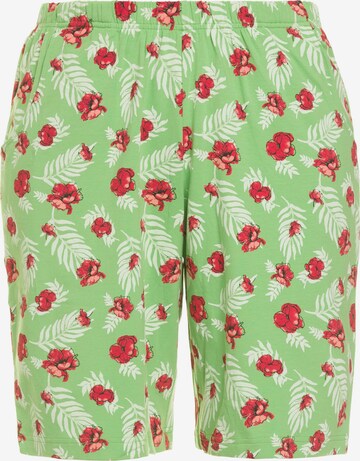 Ulla Popken Regular Pants in Green: front