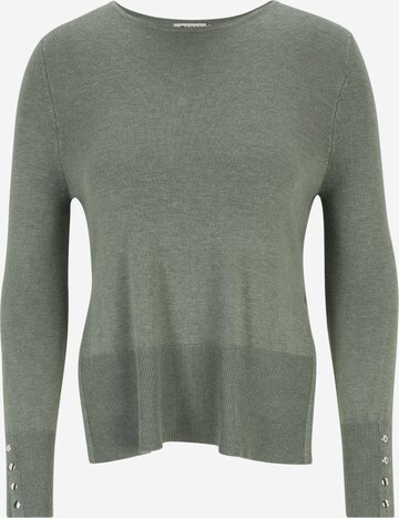 Only Petite Pullover 'JULIE' in Grün: predná strana