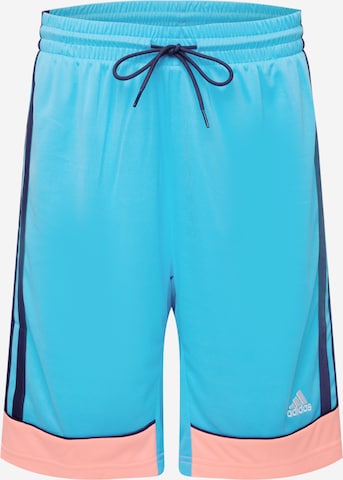 ADIDAS PERFORMANCE Παντελόνι φόρμας σε μπλε: μπροστά