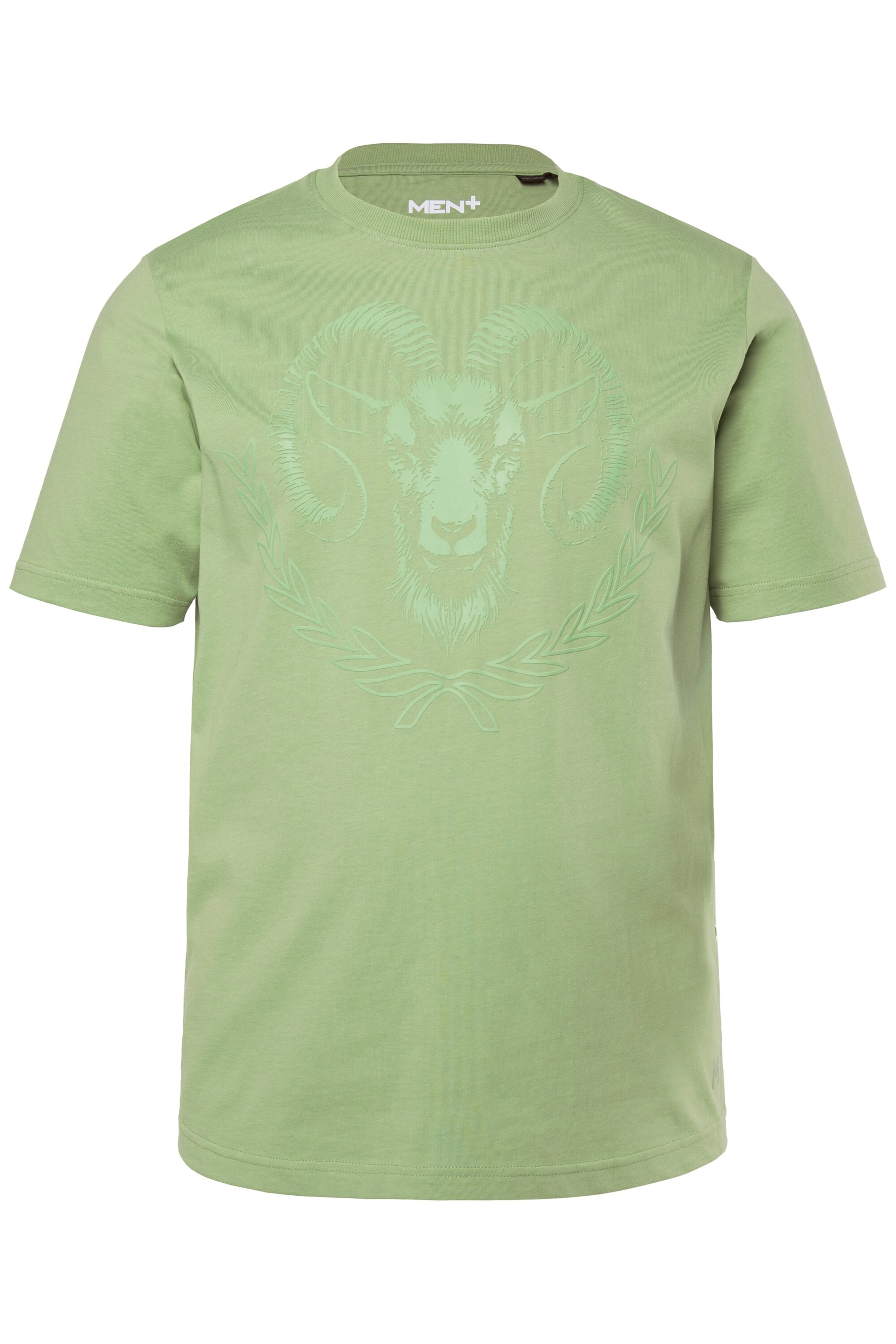 Men Plus T-Shirt in Grün: Vorderseite