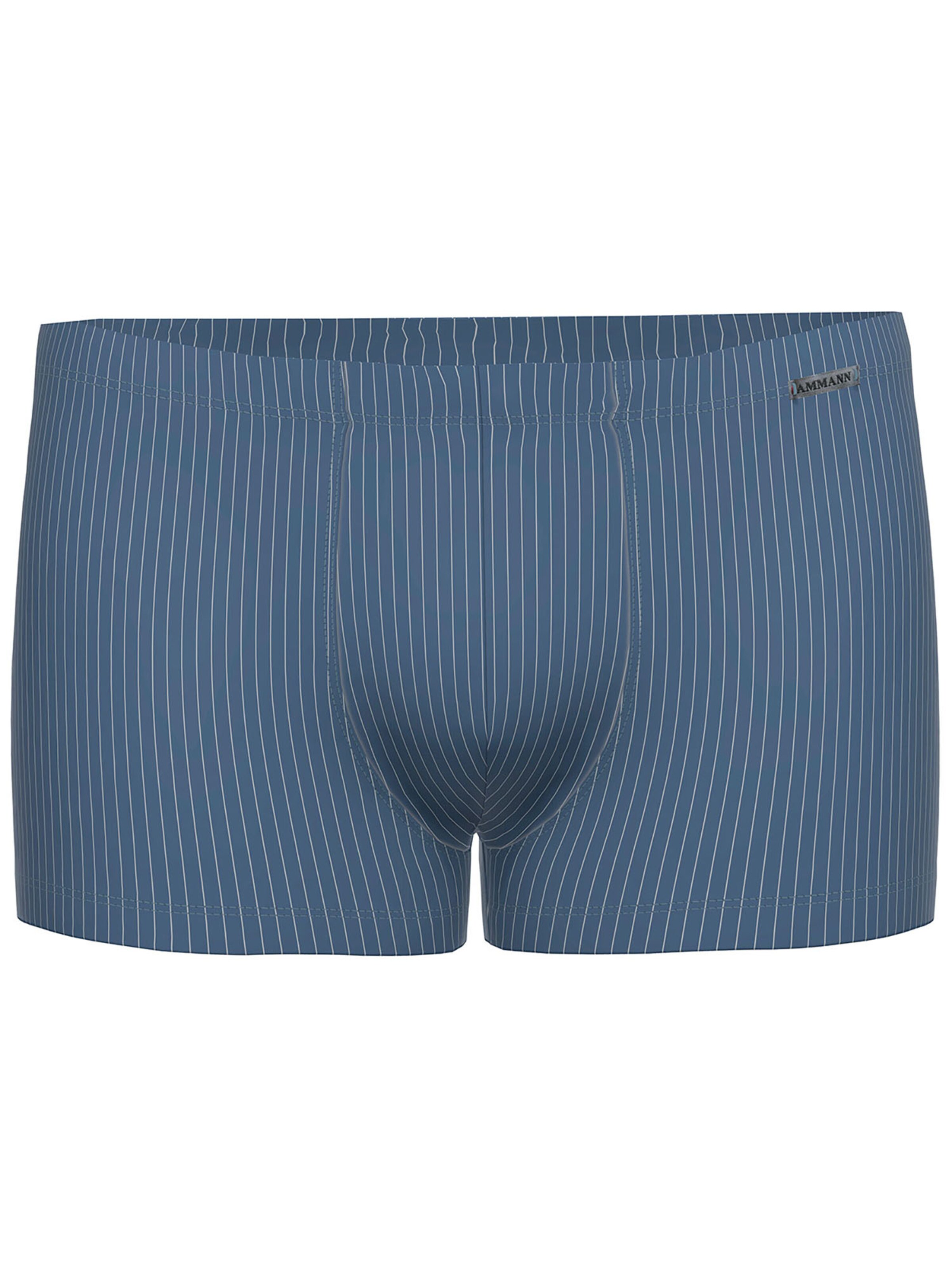 Ammann Boxer shorts 'Day Modern / Smart & Stripes' in Blue: front