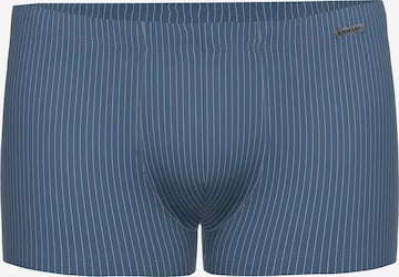 Ammann Boxer shorts 'Day Modern / Smart & Stripes' in Blue: front