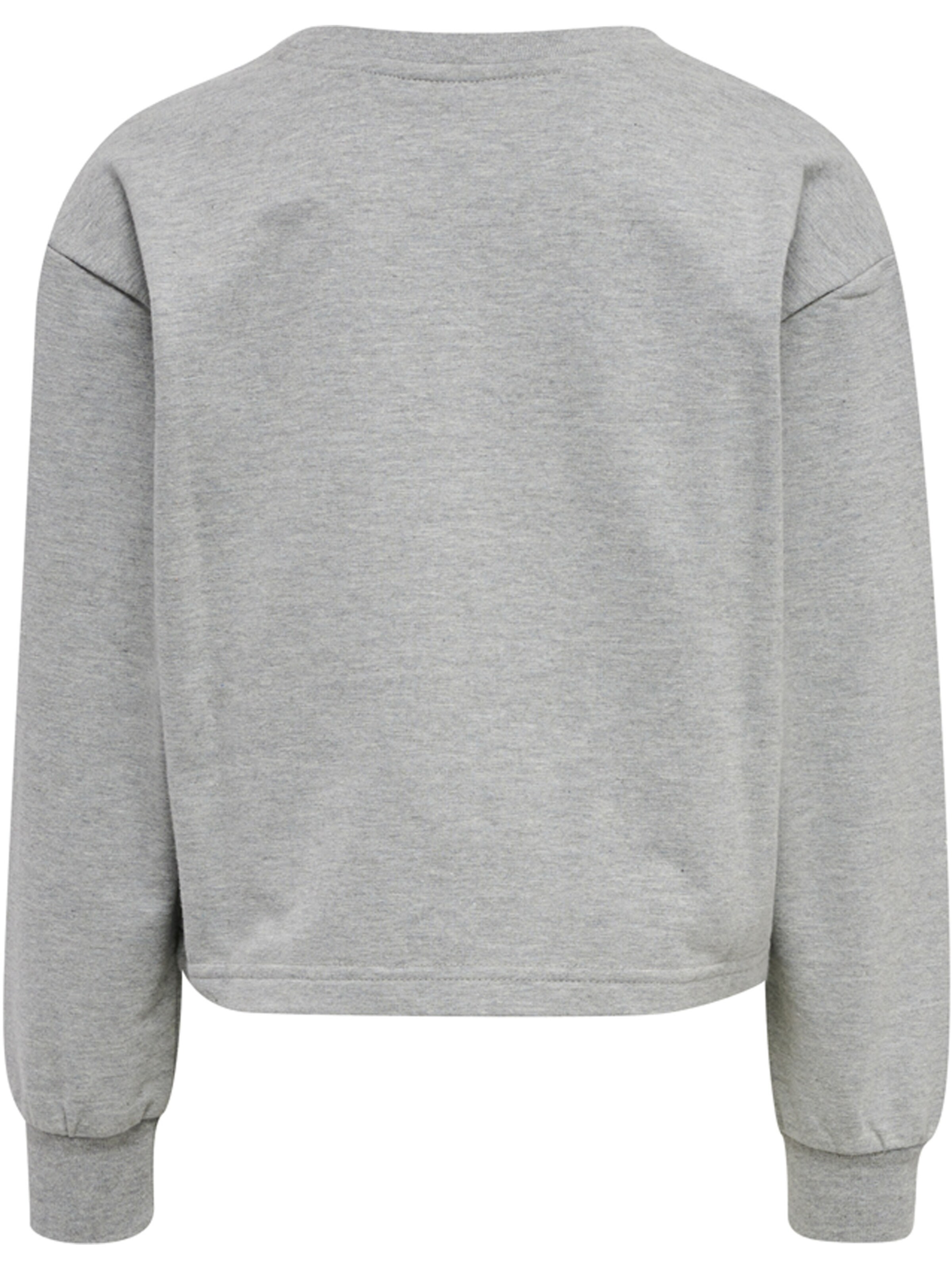 Hummel Sportsweatshirt i grå