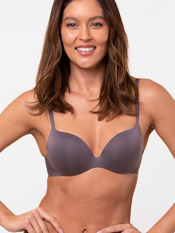 Royal Lounge Intimates Triangle Bra ' Royal Sweetheart ' in Grey: front