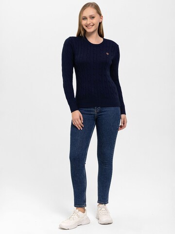 Antioch Pullover in Blau