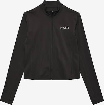 HALO Training jacket in Grey: front