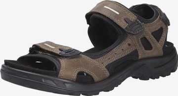 ECCO Sandals 'OFFROAD' in Brown: front
