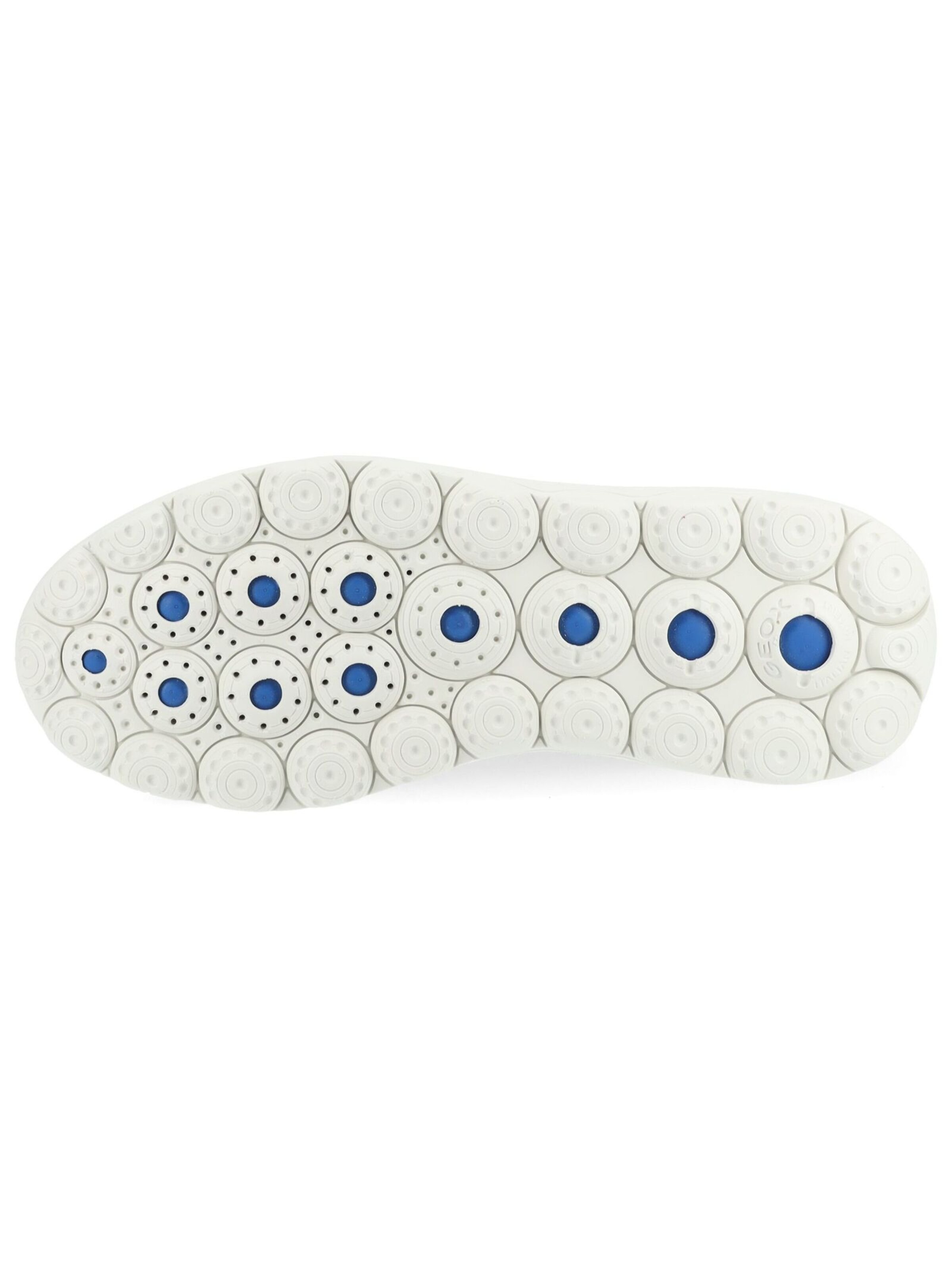 GEOX Sneaker 'Spherica' in Grün