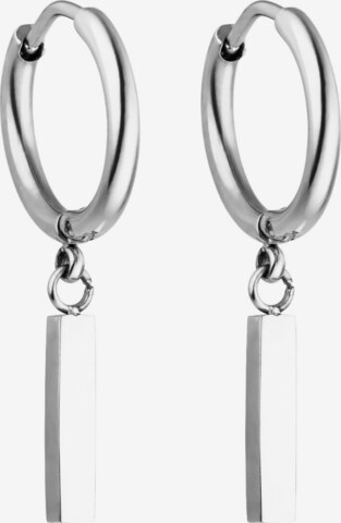 PURELEI Earrings 'Huli ' in Silver: front