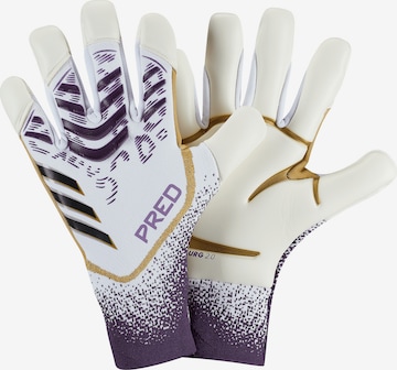 ADIDAS PERFORMANCE Torwarthandschuhe 'Predator GL Pro' in Weiß: Vorderseite