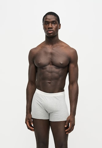 ABOUT YOU Boxer shorts 'Falk' in Grey: front