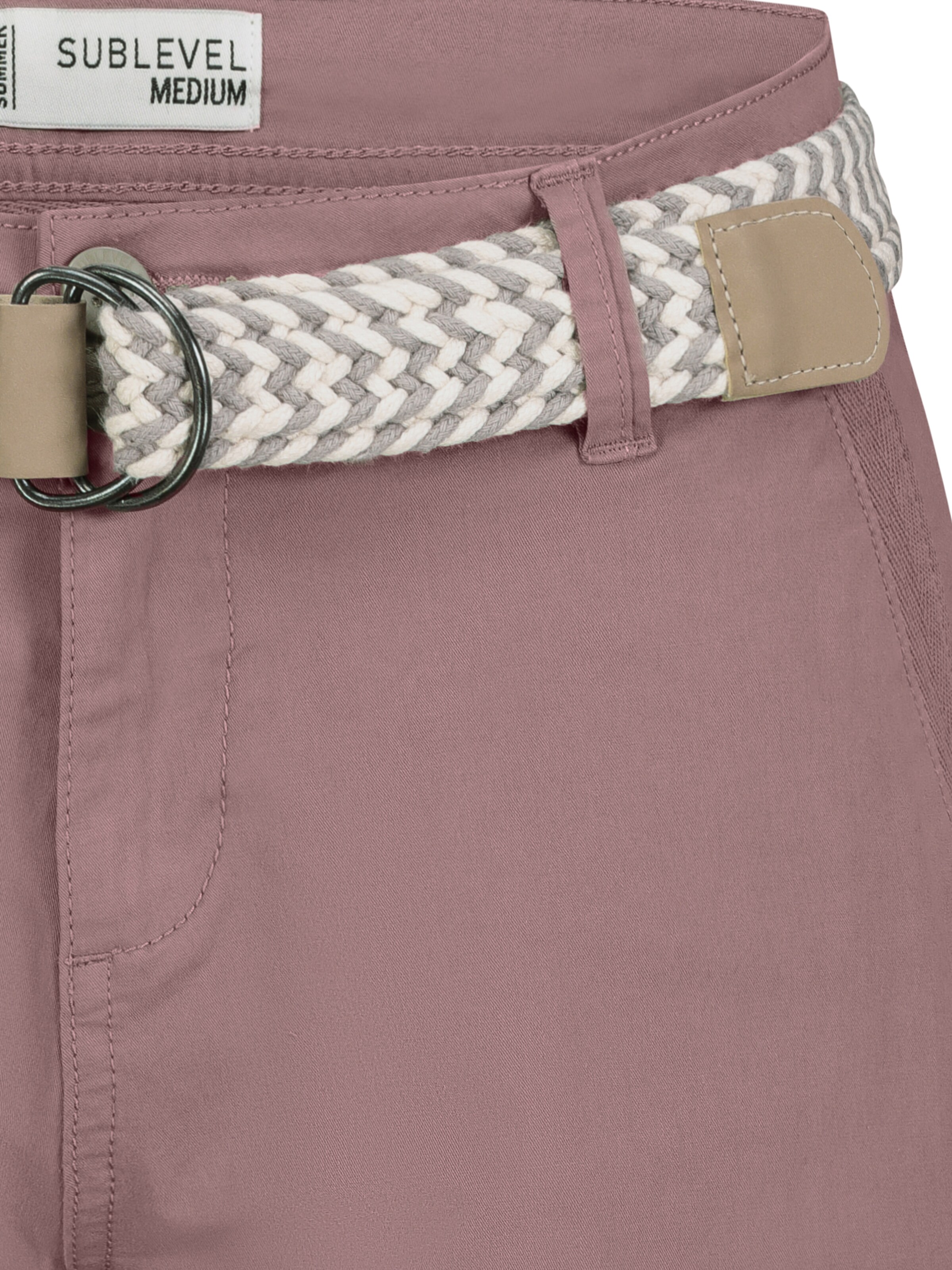 Sublevel Regular Shorts in Pink