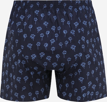 D.E.A.L International Boxershorts 'Palme' in Mischfarben