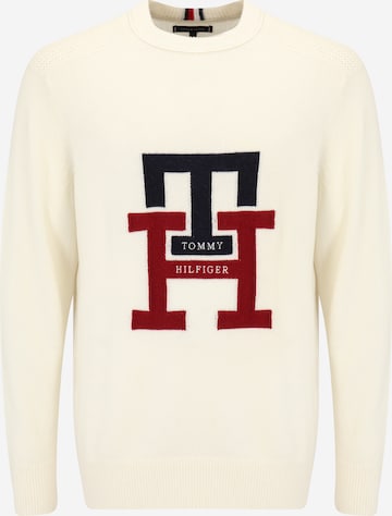 Tommy Hilfiger Big & Tall Sweater in White: front