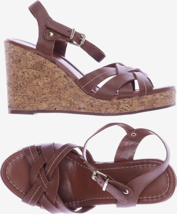 Dune LONDON Sandals & High-Heeled Sandals in 36 in Brown: front