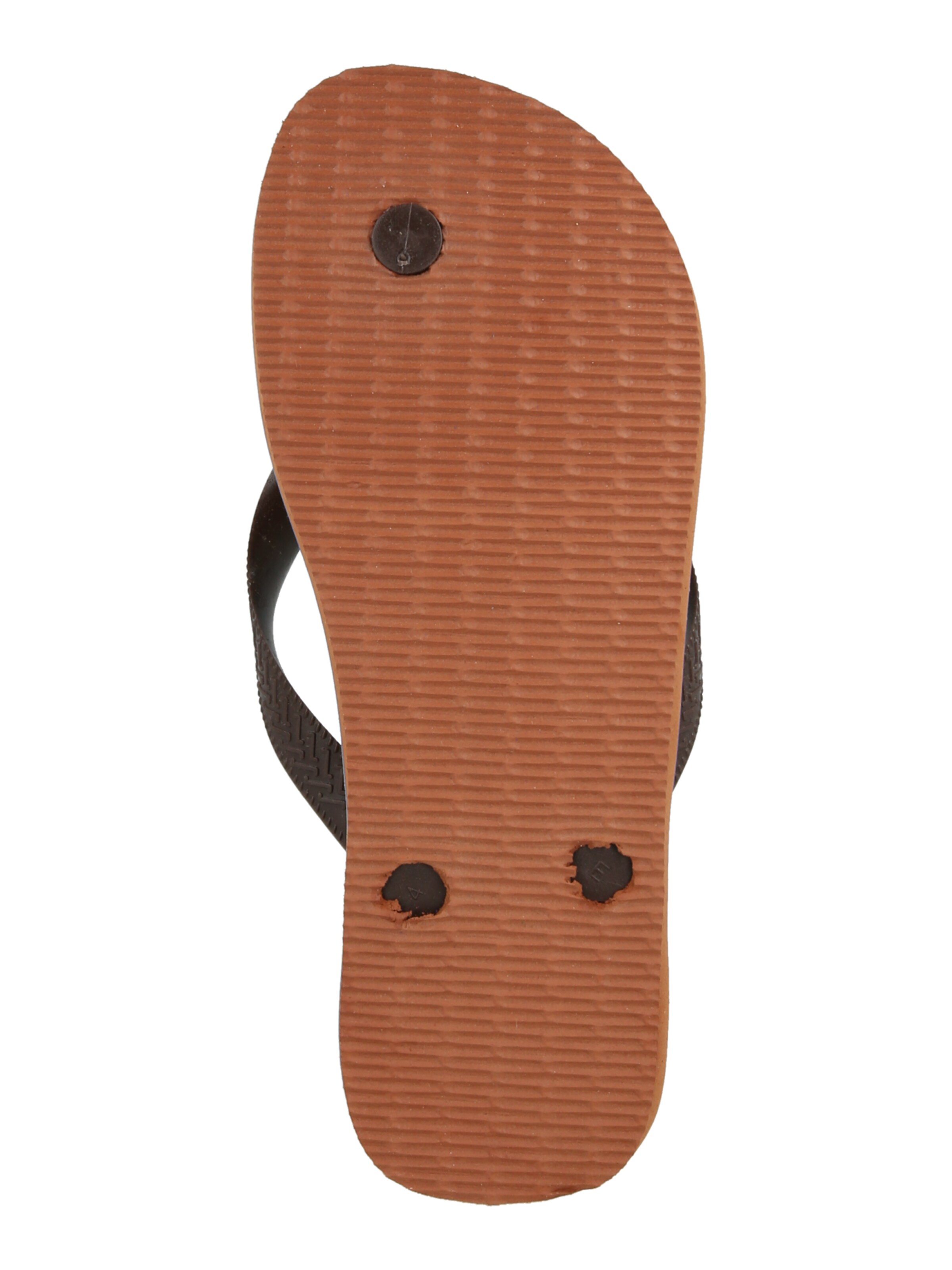 HAVAIANAS Zehentrenner in Braun